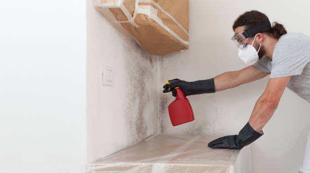 Professional Attic Mold Remediation technician working in Orviston, PA