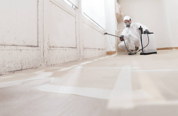 24/7 Emergency Attic Mold Remediation experts in Orviston, PA